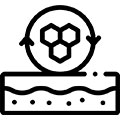 Aceleración de la Regeneración de la Piel
